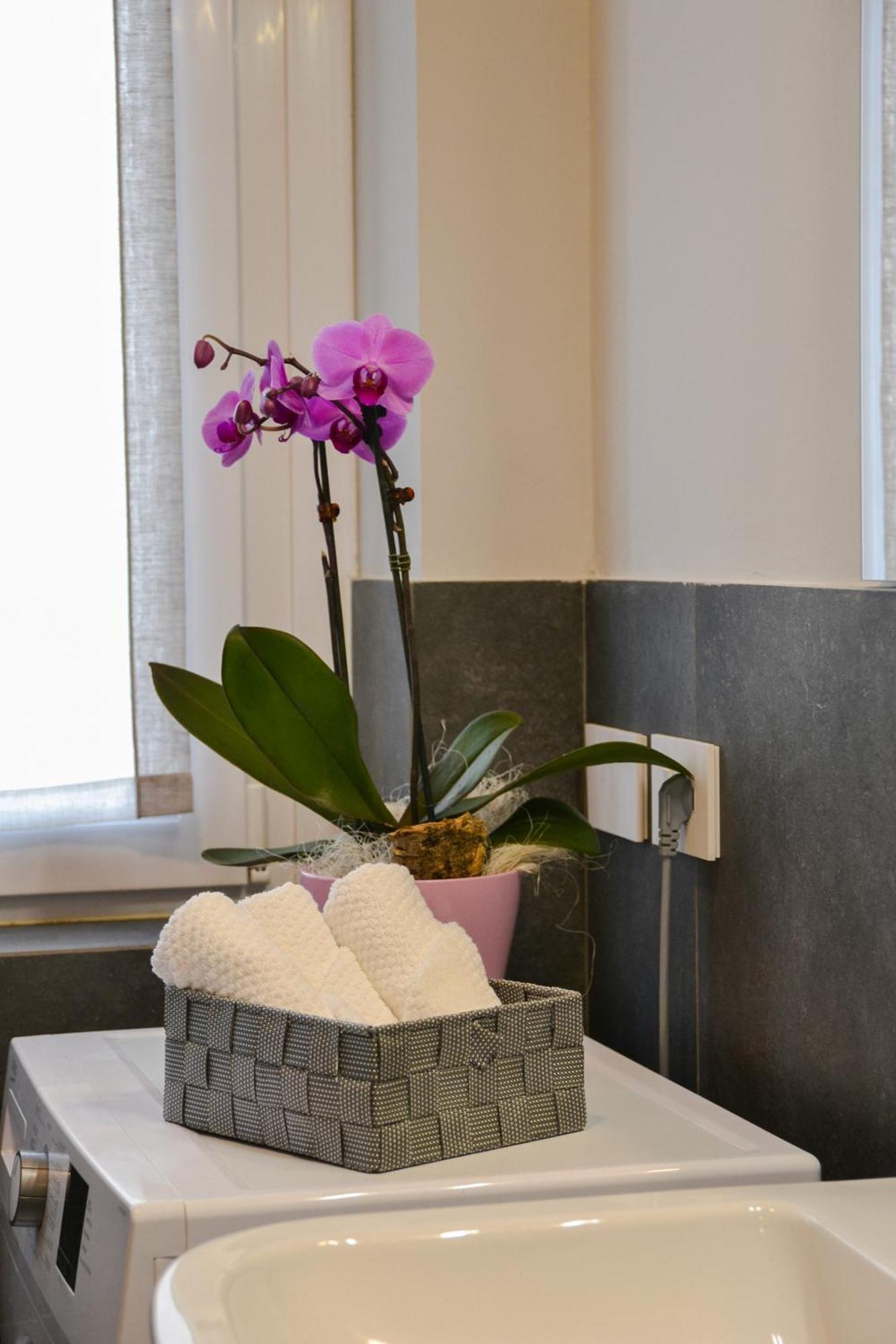 Via Brennero 5 Apartments ปาสเตร็งโก ภายนอก รูปภาพ