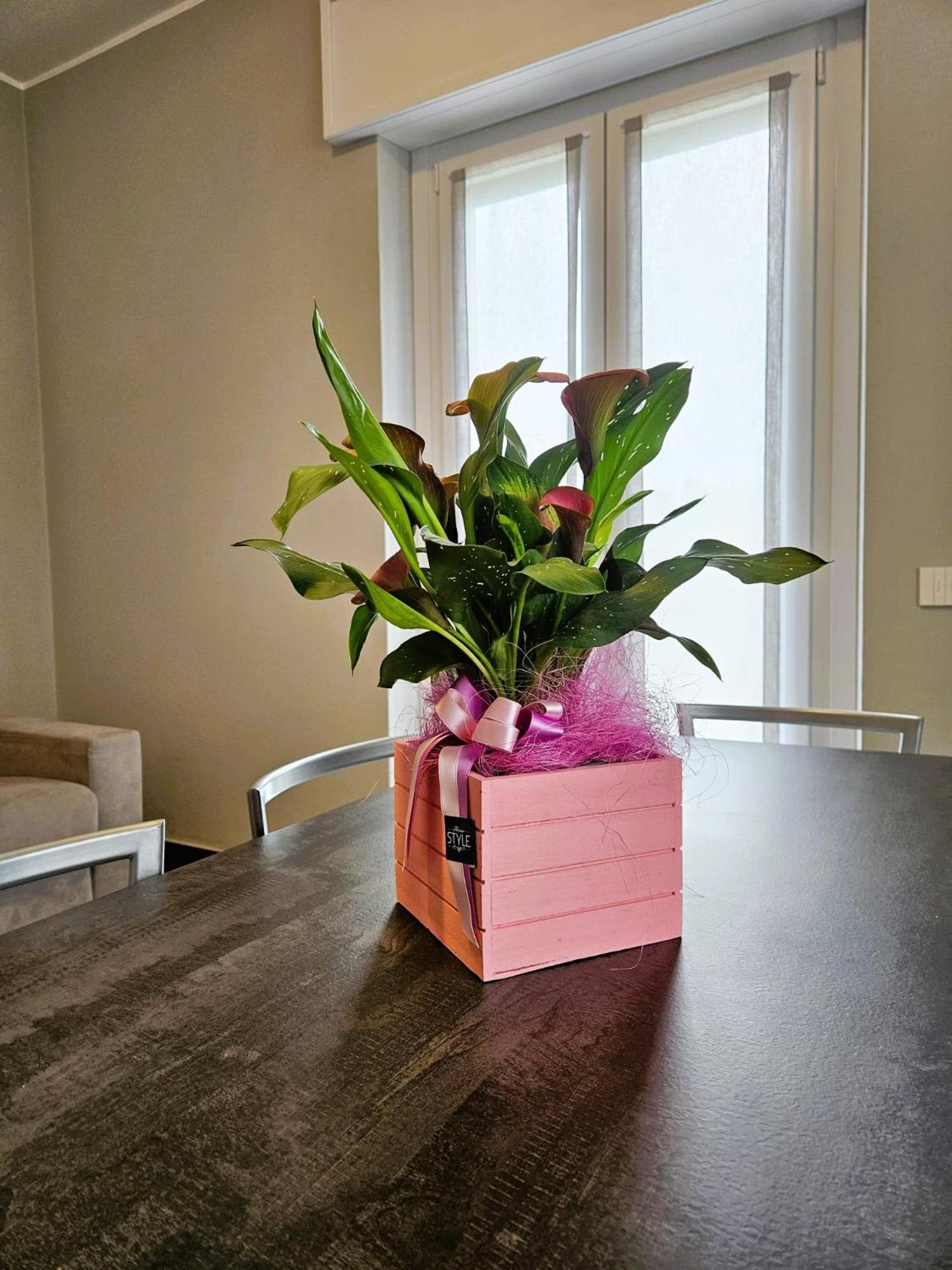 Via Brennero 5 Apartments ปาสเตร็งโก ภายนอก รูปภาพ
